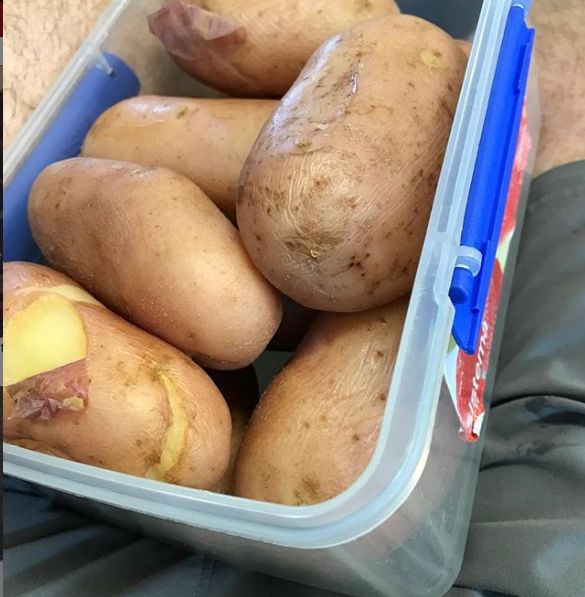 Ziemniaki stanowią jedyny składnik diety