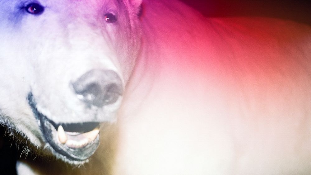 „Przez 4 miesiące panuje tutaj totalna ciemność, a latem słońce w ogóle nie zachodzi” - opisuje swój ostatni materiał Dominika Gęsicka 1