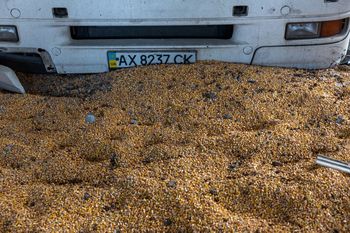 Media: Arabia Saudyjska wśród odbiorców zboża wywożonego z Ukrainy