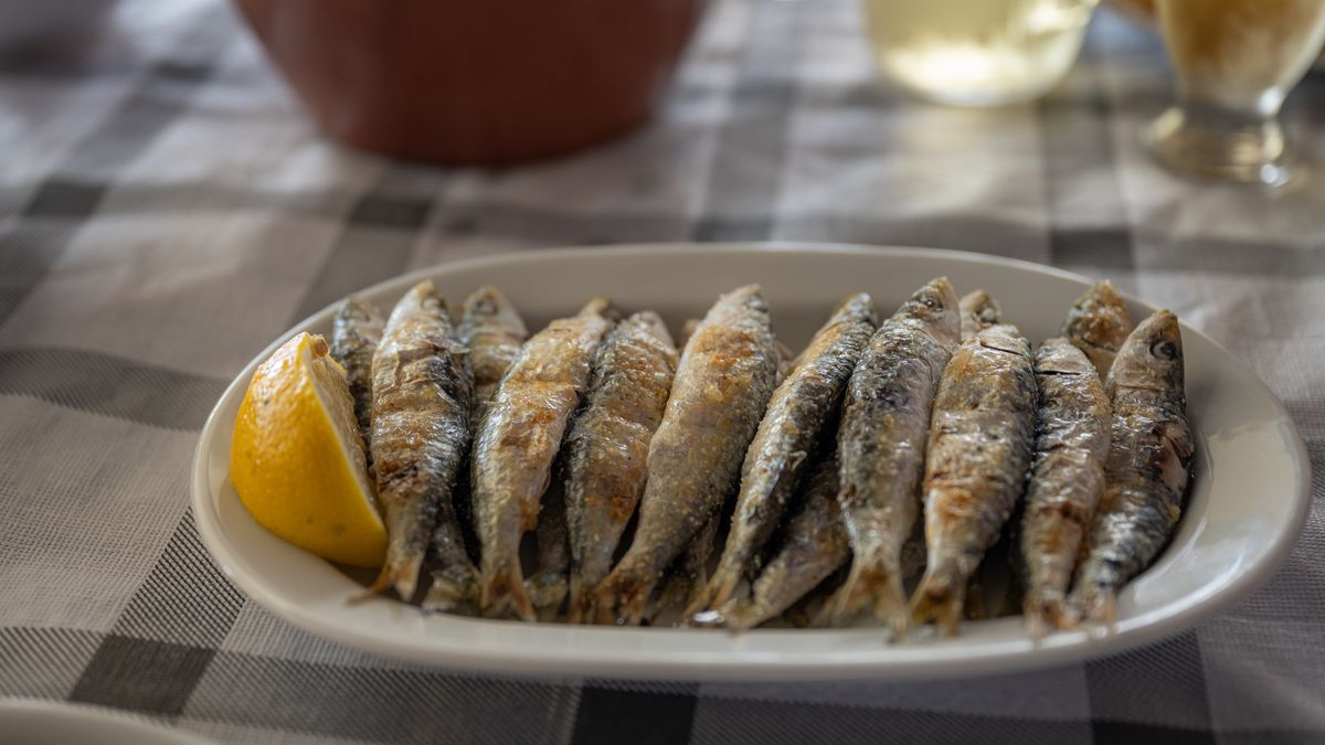 Dlaczego warto jeść sardynki?