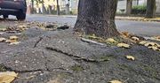 Gorzów: Decyzja o remoncie konieczna, ale pieniędzy w budżecie brak