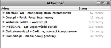Przeglądarka Safari - okno "Aktywność" 1