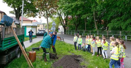 Śląsk. 54 zielone projekty w Katowicach