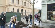 Łódź: Akcja na ul. Piotrkowskiej. Mieszkańcy sadzili platany