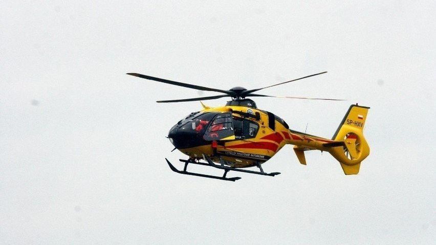 Służby apelują o ostrożność podczas spacerów po lasach, łąkach i terenach podmokłych, szczególnie w ciepłe dni, kiedy gady są najbardziej aktywne.