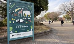Zostawił ciało żony w krematorium dla zwierząt. Pracownik ZOO w Japonii zatrzymany