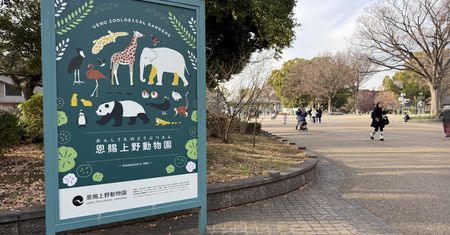 Zostawił ciało żony w krematorium dla zwierząt. Pracownik ZOO w Japonii zatrzymany