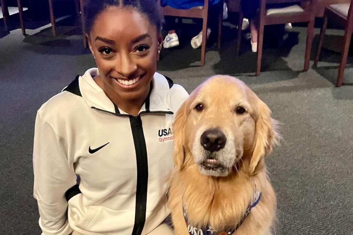 Beacon the therapy dog winning hearts at the Olympic Games