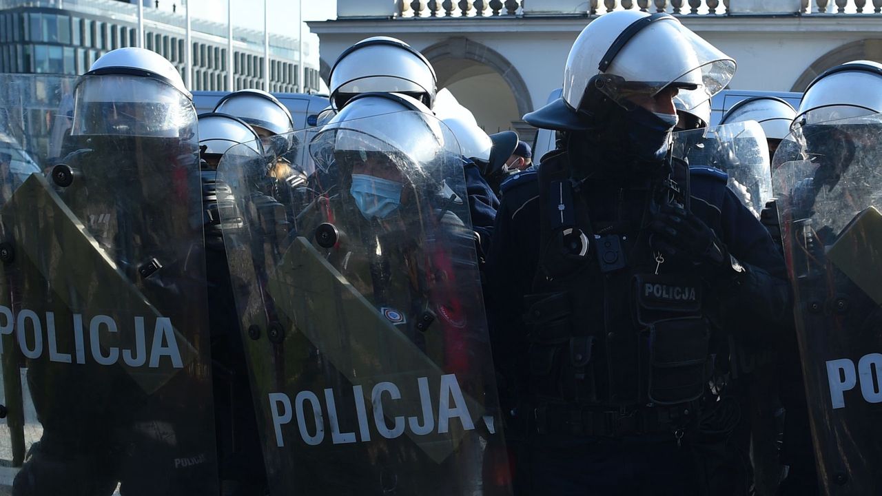 Psy 4. Jak się łamie kręgosłupy