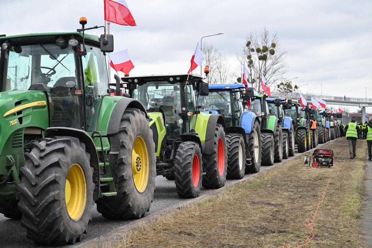 Rolniczka wspiera protesty. Mówi, dlaczego blokują zboże z Ukrainy