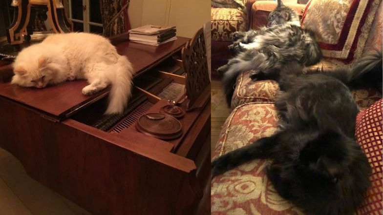 Tak mieszka Maryla Rodowicz