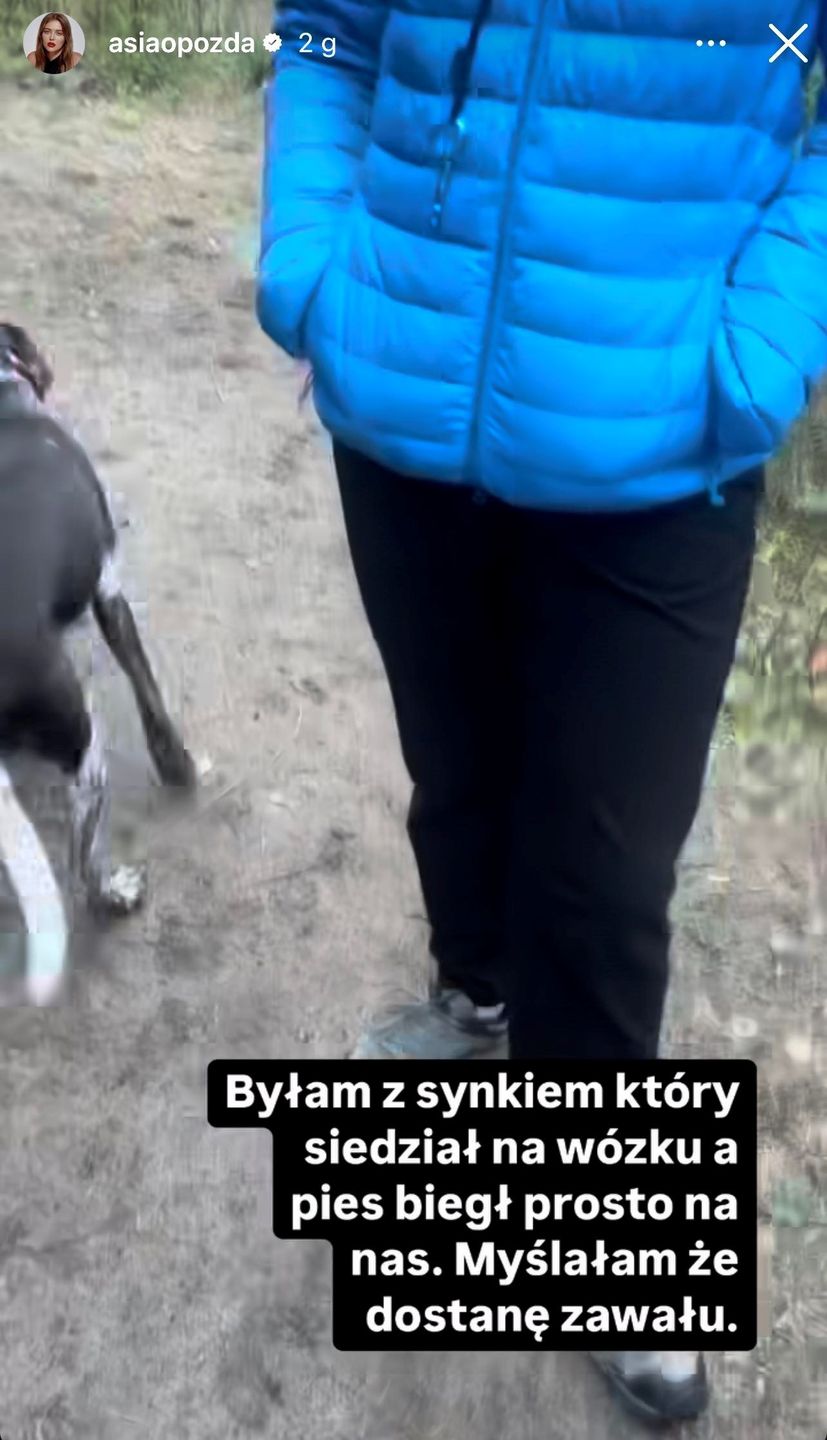 Joanna Opozda apeluje do właścicieli psów