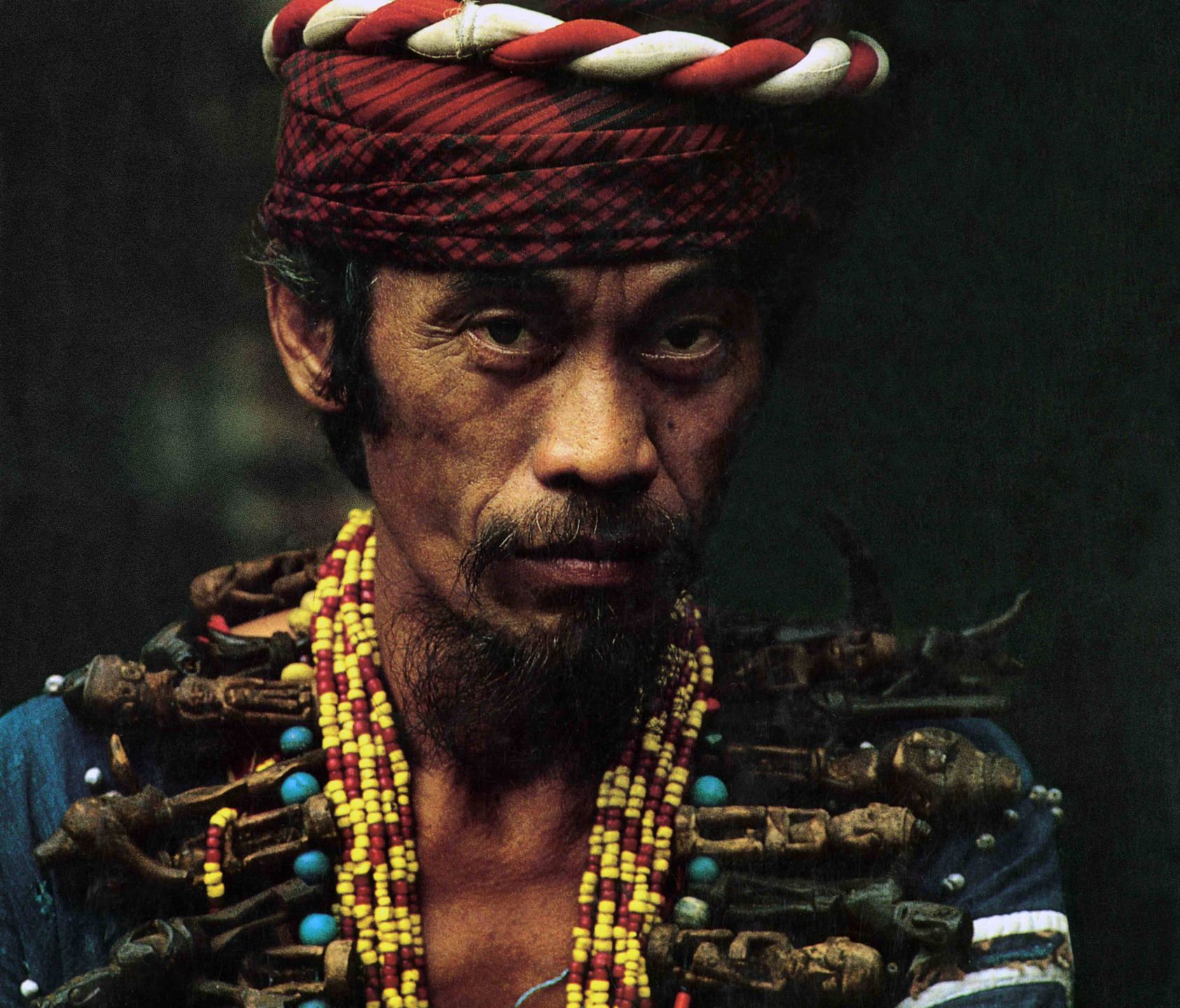 Pałkiewicz fascynował się Borneo
