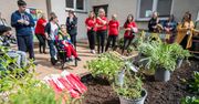 W Lublinie powstał pierwszy ogród społeczny. To wspólna przestrzeń do której każdy może wnieść swój wkład