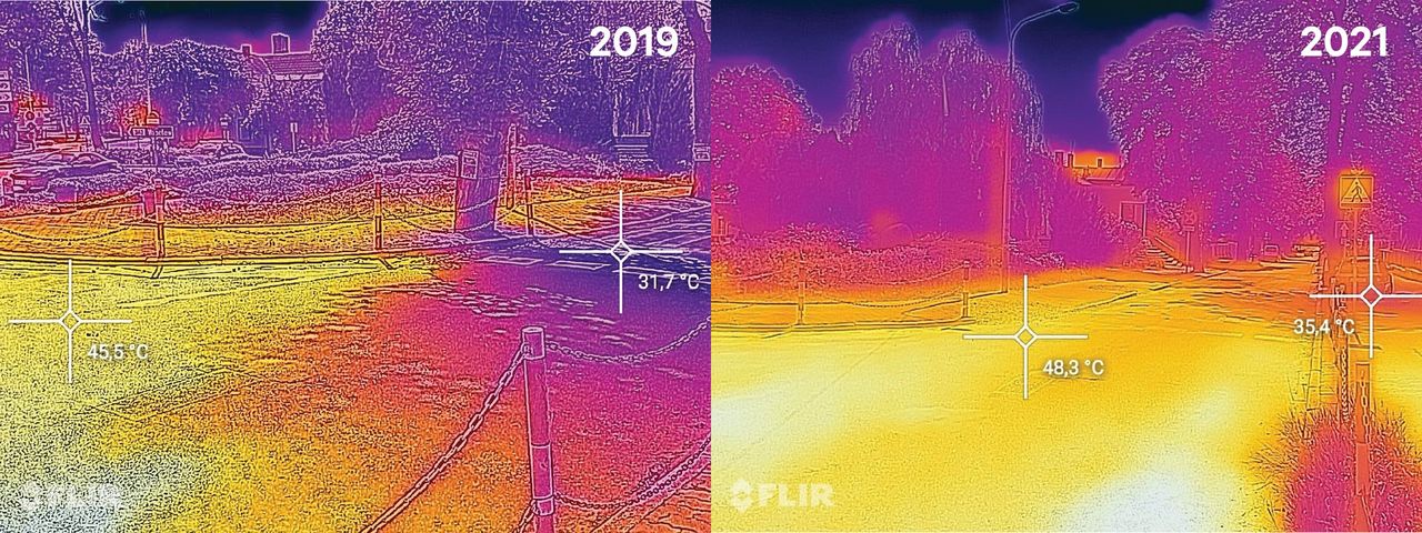 Porównanie temperatury przed i po wycięciu drzewa