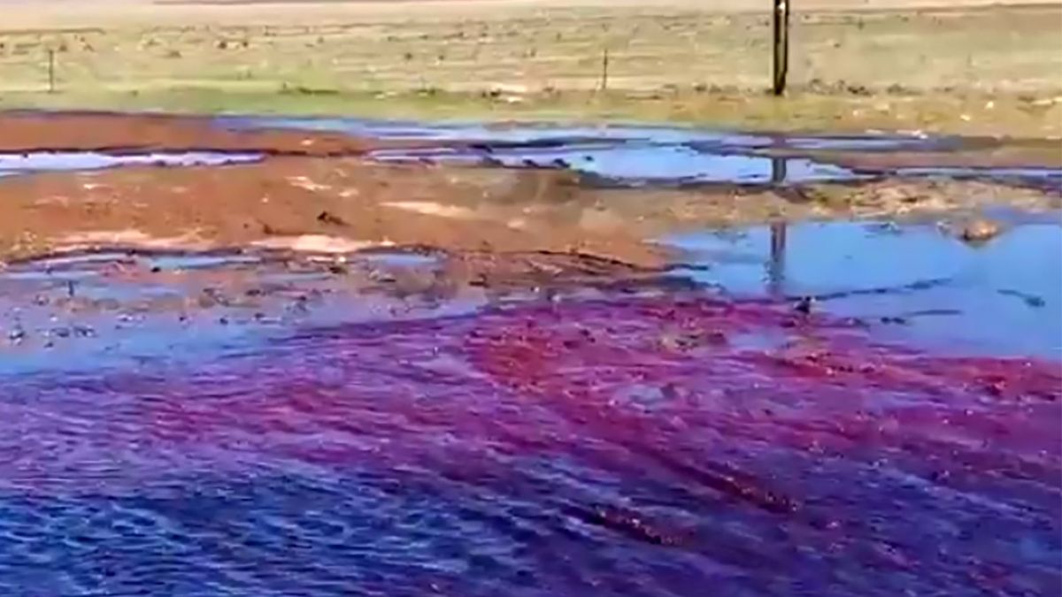 Tereny pod Kapsztadem zalała rzeka czerwonego wina