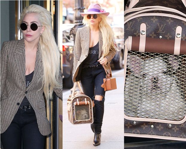 Lady Gaga z psem w torbie Louis Vuitton