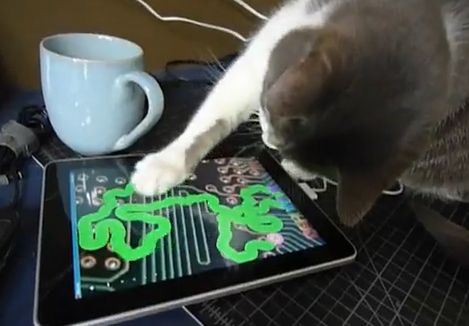 Niesamowity kot, który bawi się iPadem! [wideo]