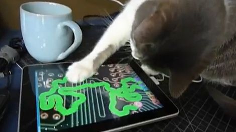Niesamowity kot, który bawi się iPadem! [wideo] 1