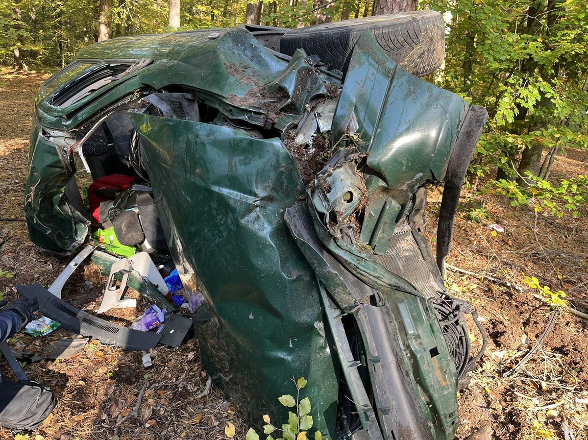 wypadek, łoś, choszczno Fatalne w skutkach zderzenie z łosiem. Pięć osób rannych