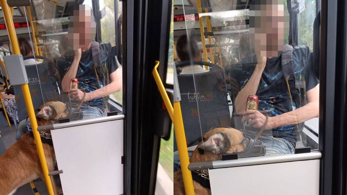 Mężczyzna znęcał się nad psem w trolejbusie linii nr 151