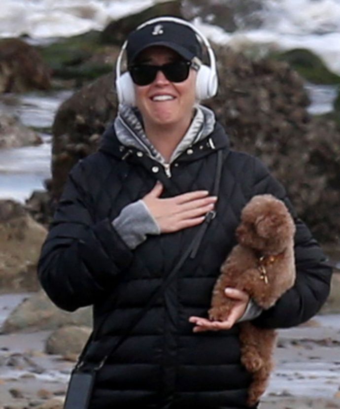 Katy Perry ze swoim pudelkiem, Nuggetem