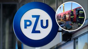 PZU uruchomiło pomoc po tragedii na Węgrzech. Podaje dwa numery