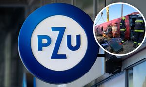 PZU uruchomiło pomoc po tragedii na Węgrzech. Podaje dwa numery