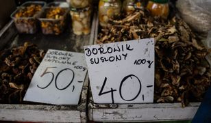 Zbierasz grzyby? Oto kiedy fiskusowi należy się podatek