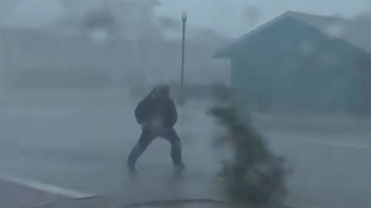 Gałąź uderzyła w prezentera pogody