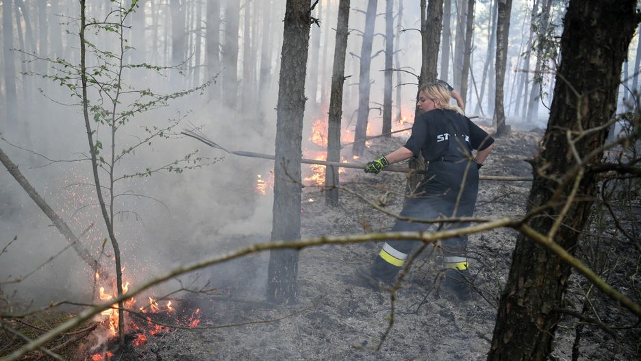 Zdjęcie ilustracyjne