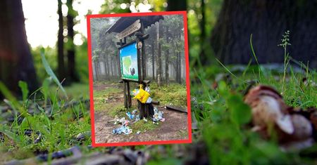 "Co z Was za turyści?" Leśnicy ostro. Zdjęcie nie zostawia złudzeń