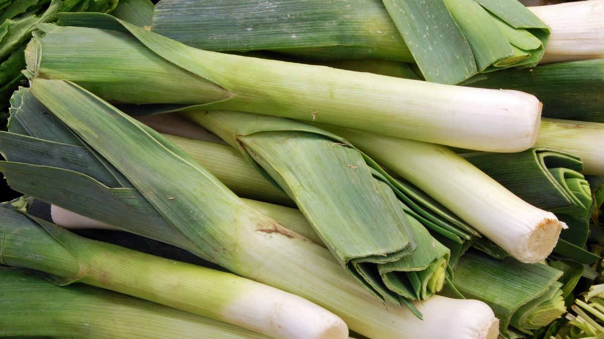 Jak wykorzystać zielone liście pora?