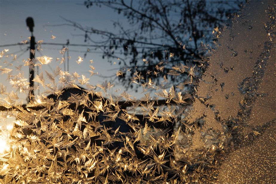 Nikon Photo Contest 2014-2015 - Polacy wśród wyróżnionych 5