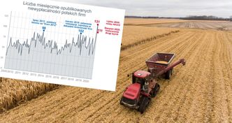 Bezpieczne branże to mit. Niewypłacalność dotyka nawet producentów żywności