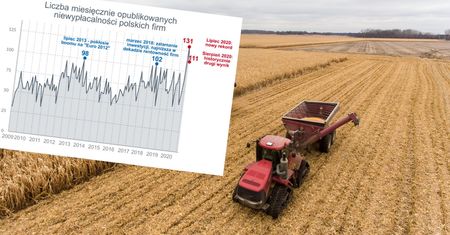 Bezpieczne branże to mit. Niewypłacalność dotyka nawet producentów żywności