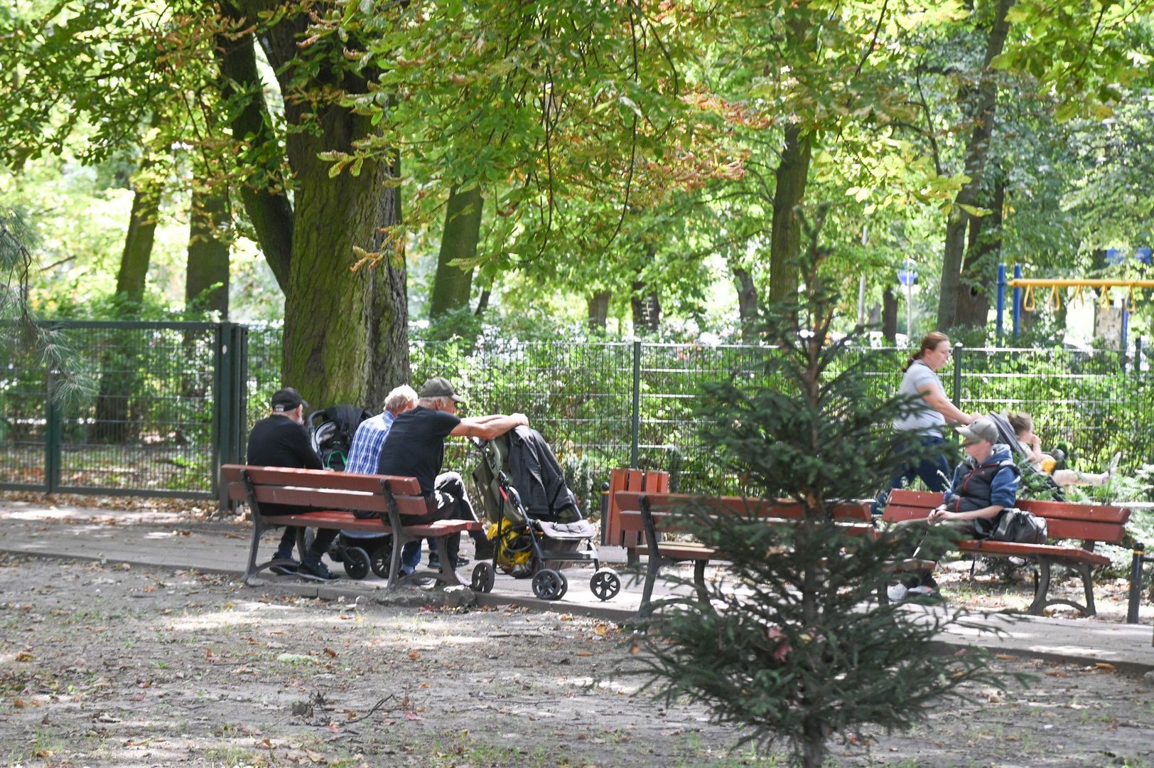 PARK ACHERA
