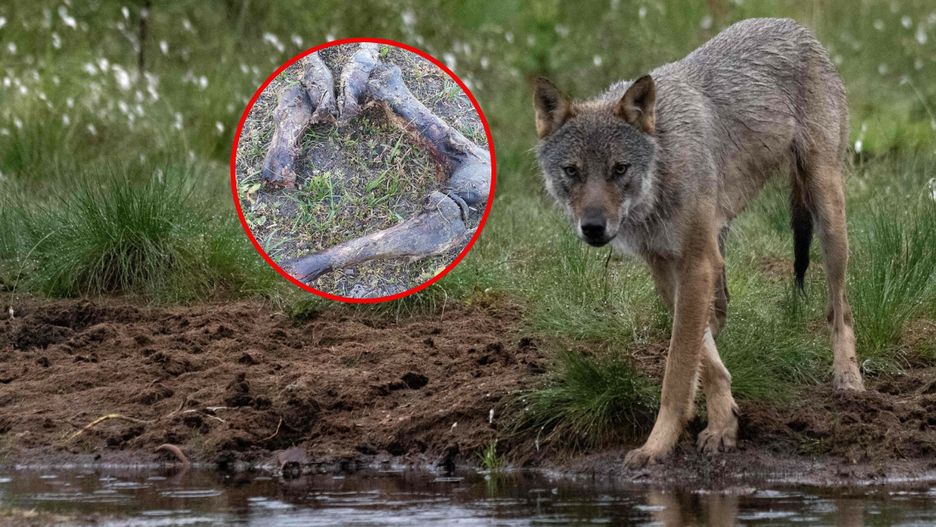 Zdjęcie ilustracyjne