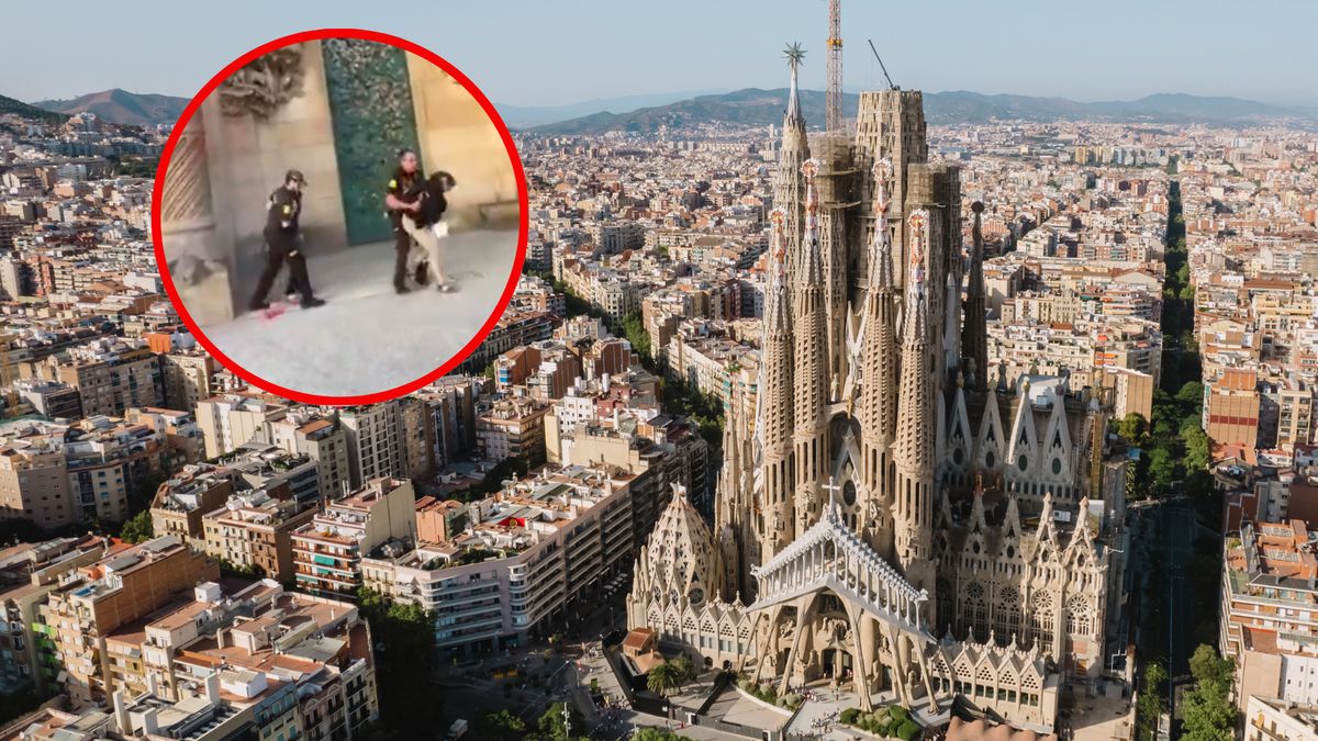 Aktywiści zniszczyli ścianę katedry 