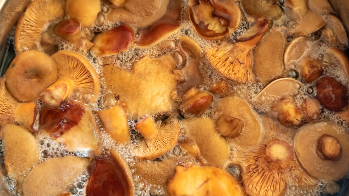 Ile gotować grzyby?