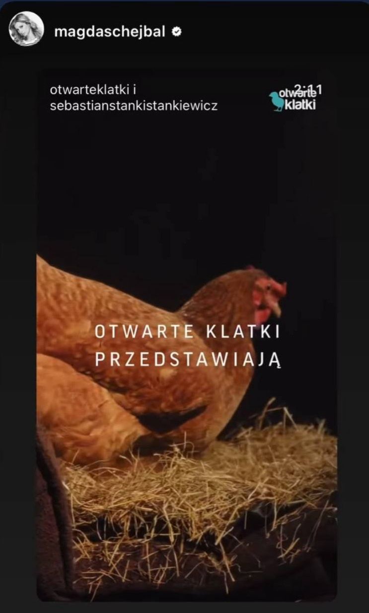 Wpis Magdaleny Schejbal na Instagramie