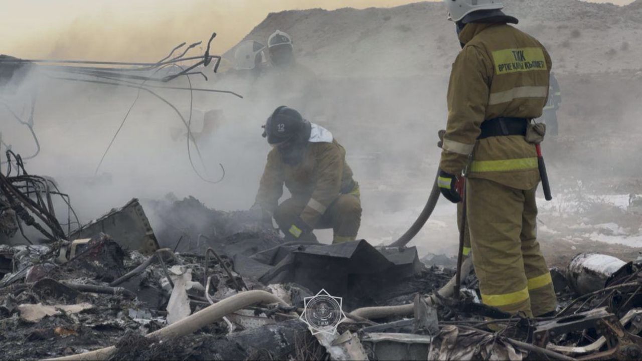 Collision course: Bird strike leads to Kazakh plane disaster