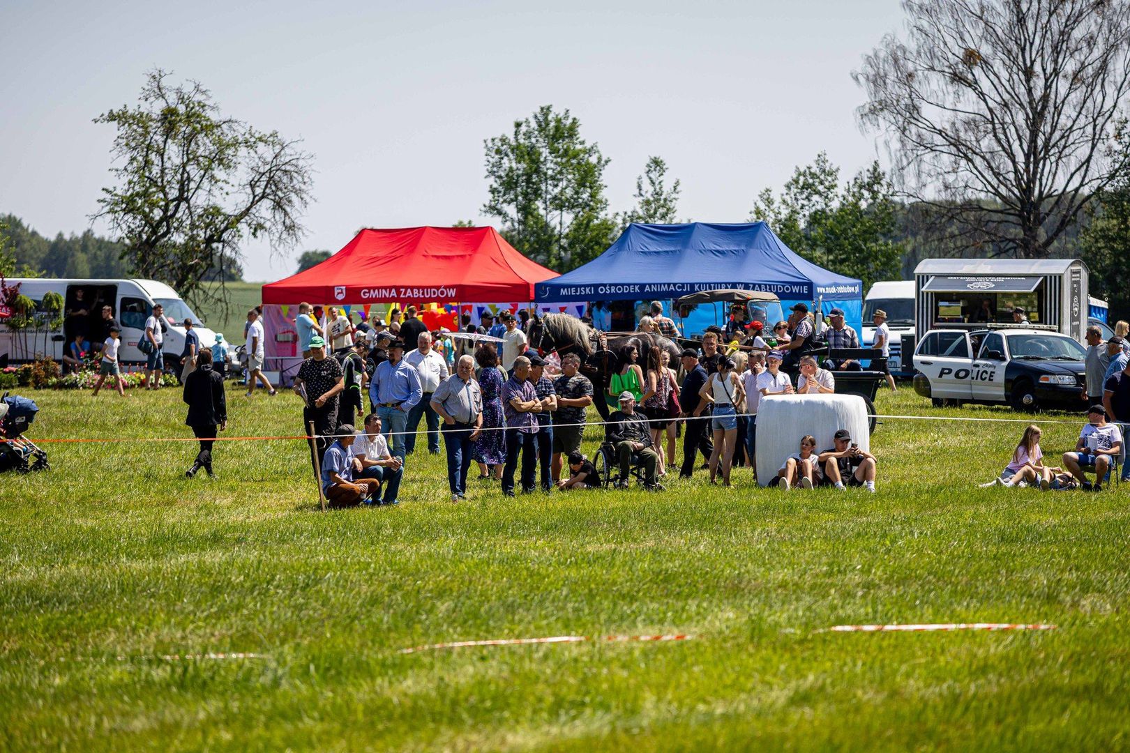 Podlaska Wystawa Koni Hodowlanych