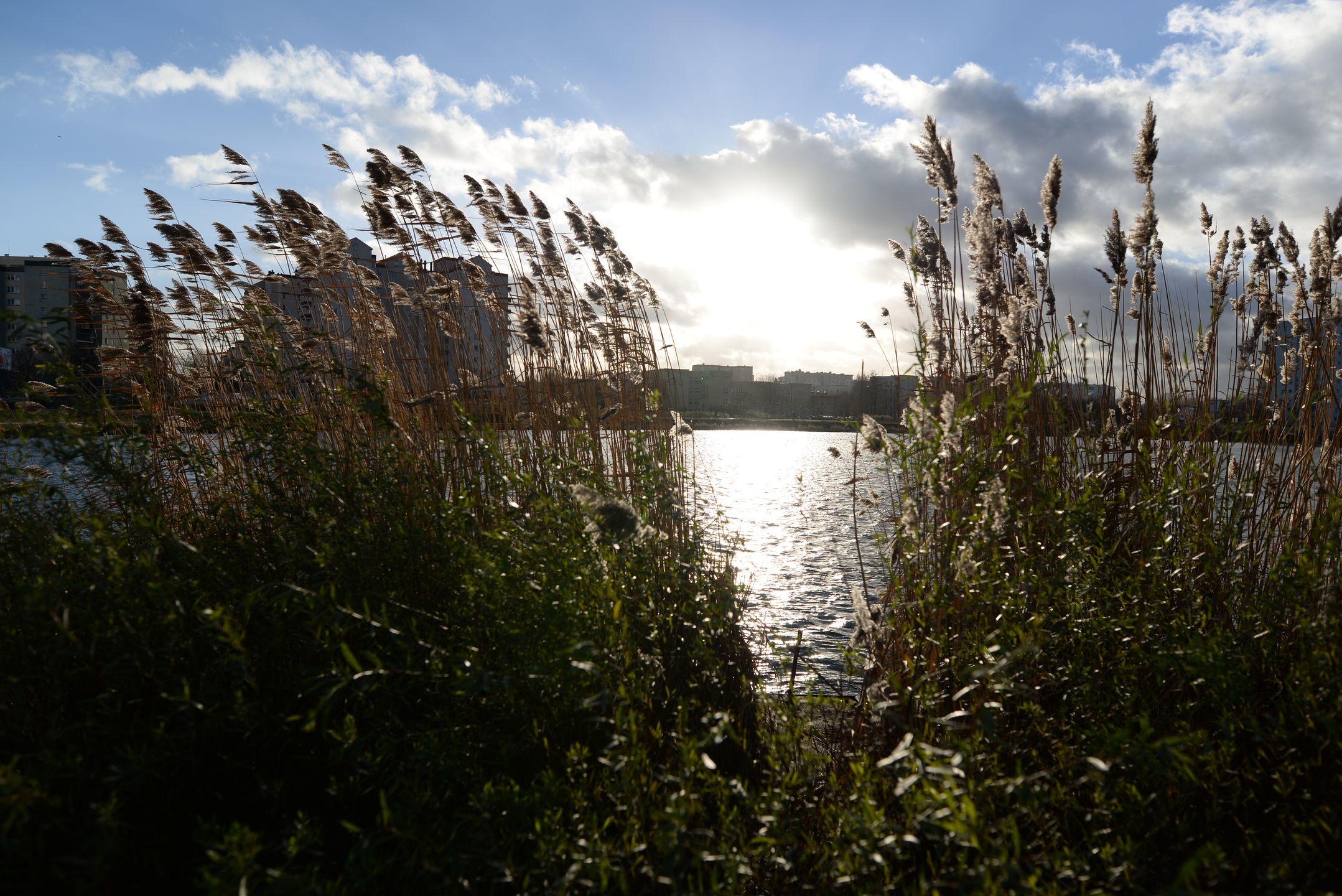 Sigma 20 mm F1.4 DG HSM - zdjęcia przykładowe 28