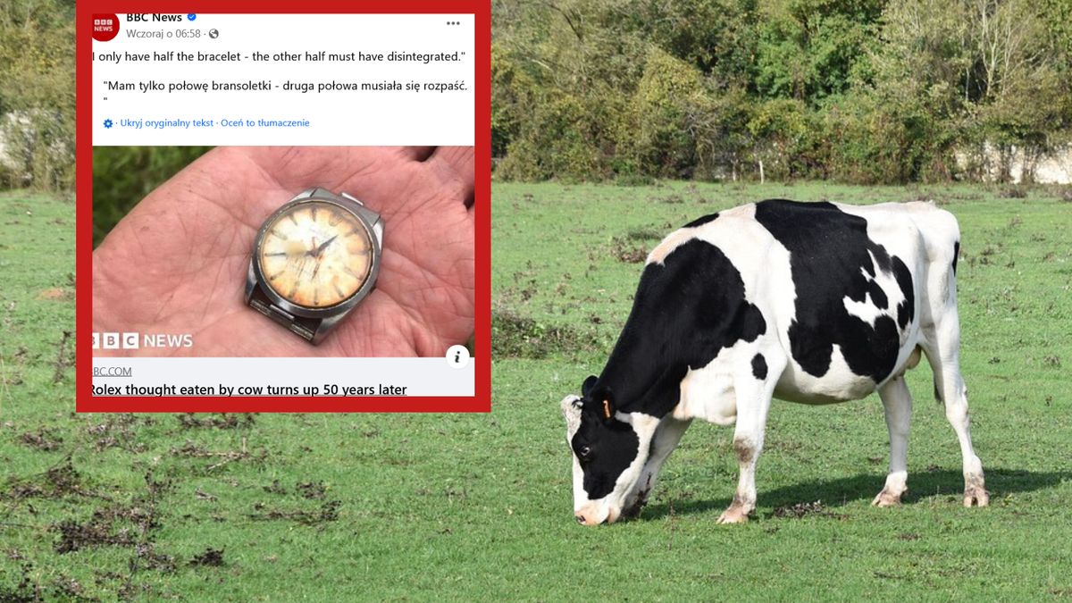 Rolex odnalazł się po 50 latach