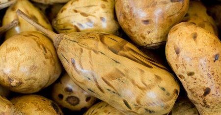 ​Owoc baobabu – właściwości odżywcze, zalety, baobab w diecie