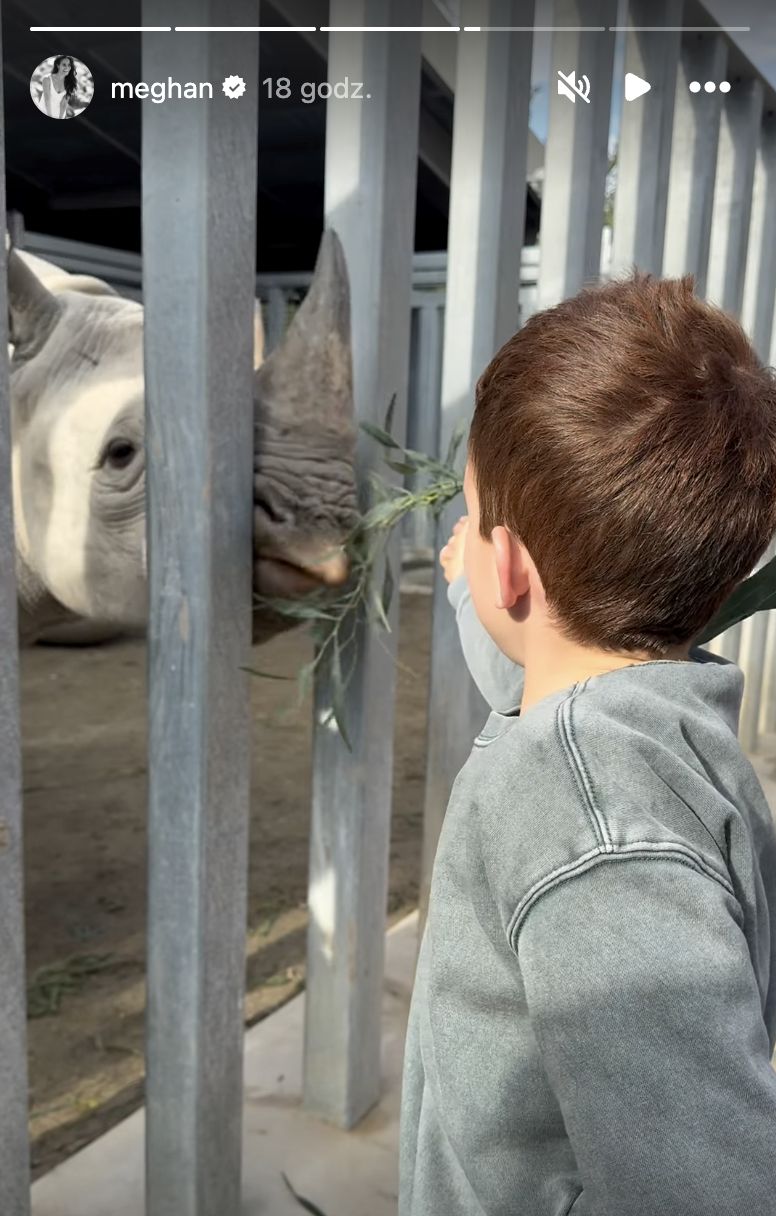 Meghan Markle pokazała Archiego karmiącego nosorożca