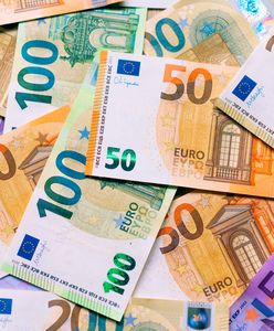 Zapytaliśmy w Warszawie o euro. Oto co usłyszeliśmy