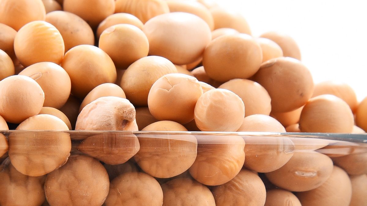 Jesteś na diecie? Zrezygnuj z soi (WIDEO)