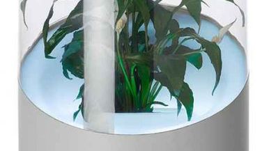 Botaniczny odświeżacz powietrza 1